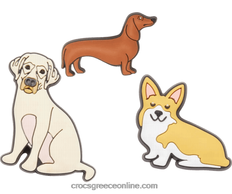 μοντέρνος σκύλος 3-πακέτοBPZ6D876 Crocs