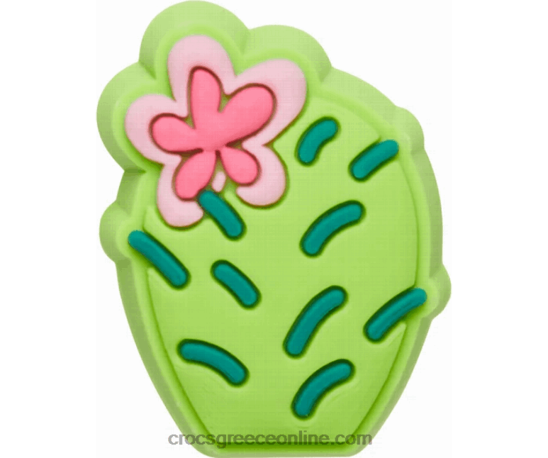 λουλούδι κάκτοςBPZ6D1157 Crocs