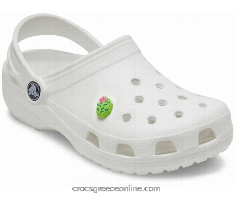 λουλούδι κάκτοςBPZ6D1157 Crocs