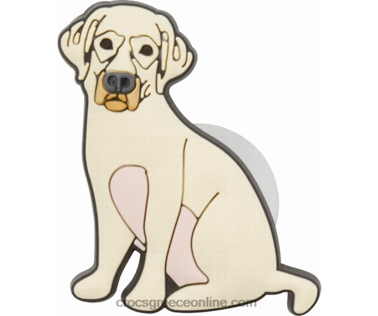 κίτρινο εργαστήριοBPZ6D1178 Crocs