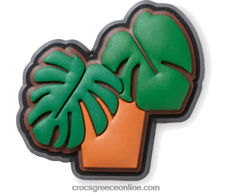 χυμώδη γλάστραBPZ6D646 Crocs