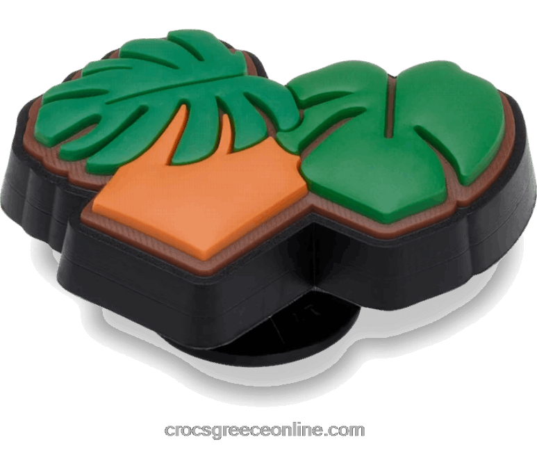 χυμώδη γλάστραBPZ6D646 Crocs