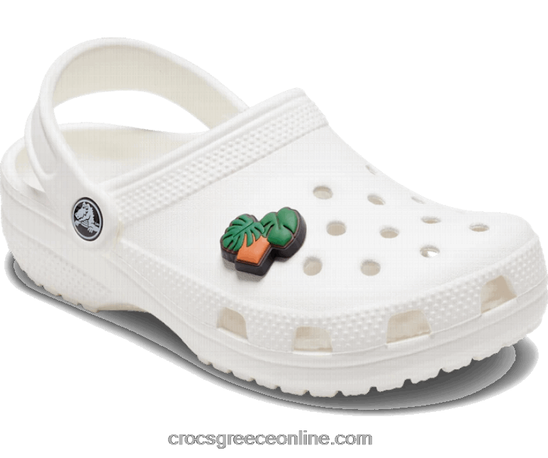 χυμώδη γλάστραBPZ6D646 Crocs