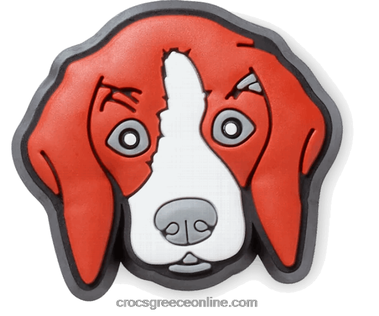 σκύλος λαγωνικούBPZ6D662 Crocs