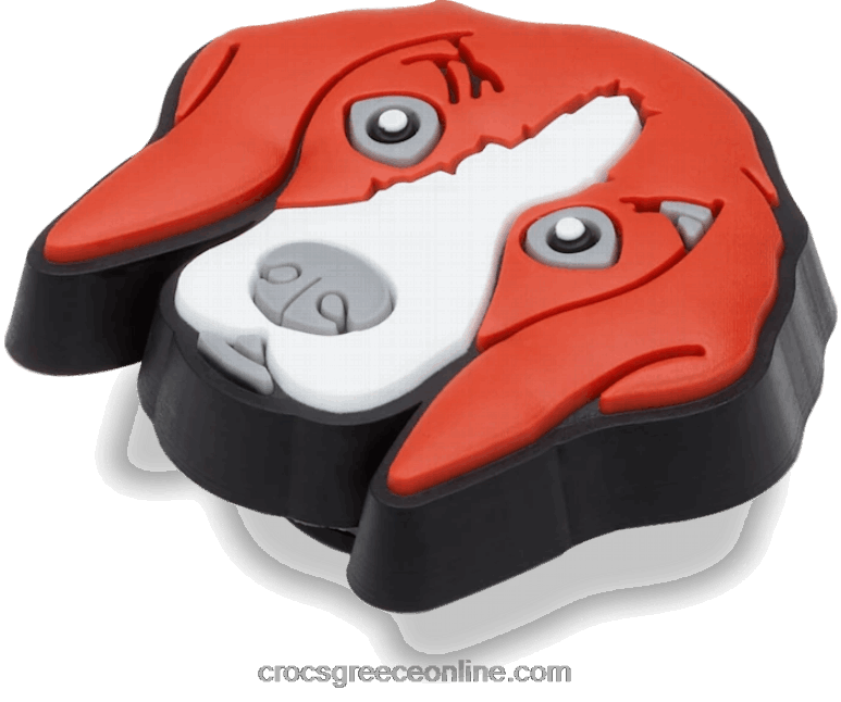 σκύλος λαγωνικούBPZ6D662 Crocs