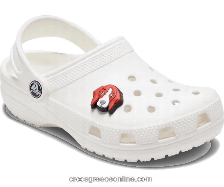 σκύλος λαγωνικούBPZ6D662 Crocs