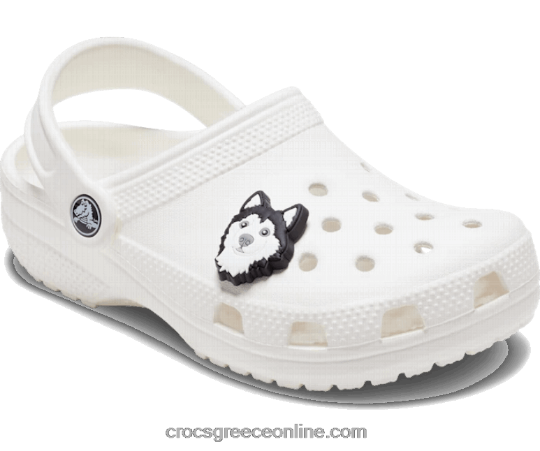 σκύλος γεροδεμένοςBPZ6D762 Crocs