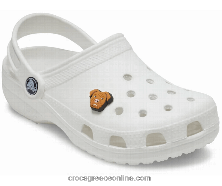 PitbullBPZ6D1173 Crocs