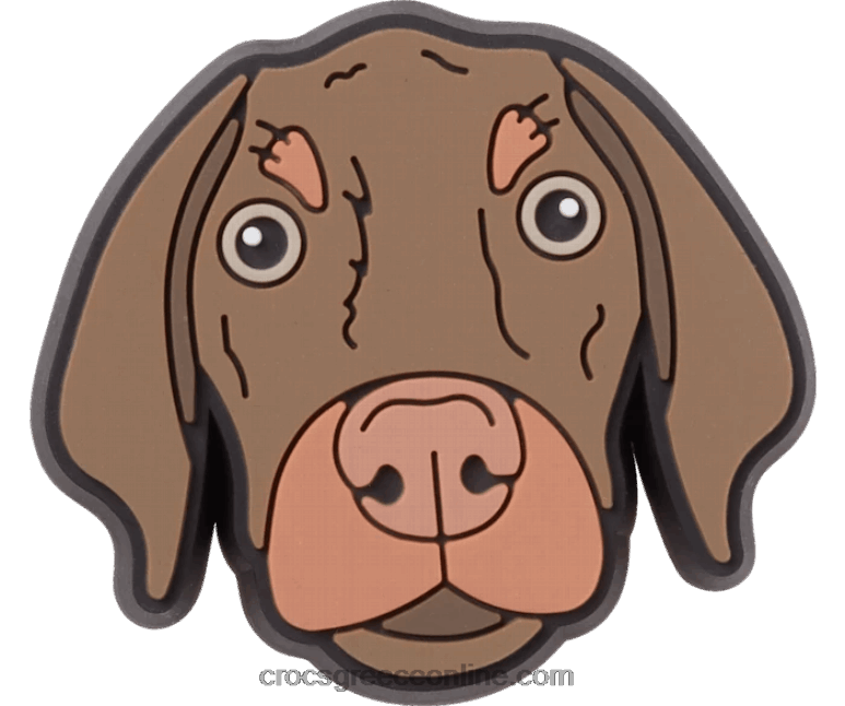 bronny σκύλοςBPZ6D964 Crocs