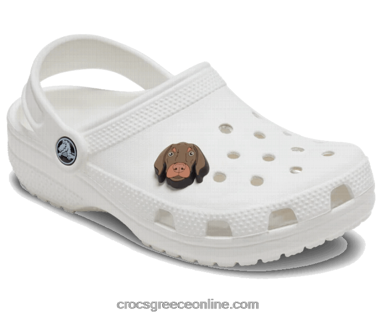 bronny σκύλοςBPZ6D964 Crocs