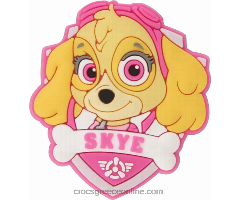 paw patrol 3-packBPZ6D1039 Crocs